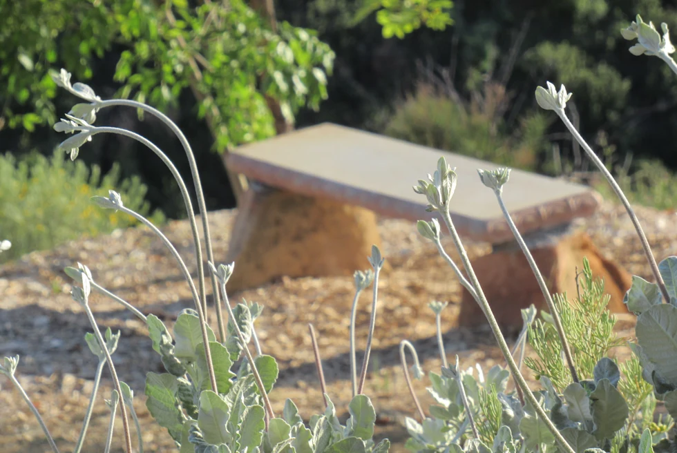 empty stone bench with light green plant stems in the foreground