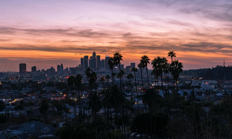 skyline of big city at sunset with palm trees and city lights