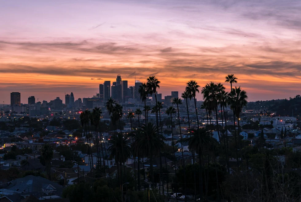 skyline of big city at sunset with palm trees and city lights