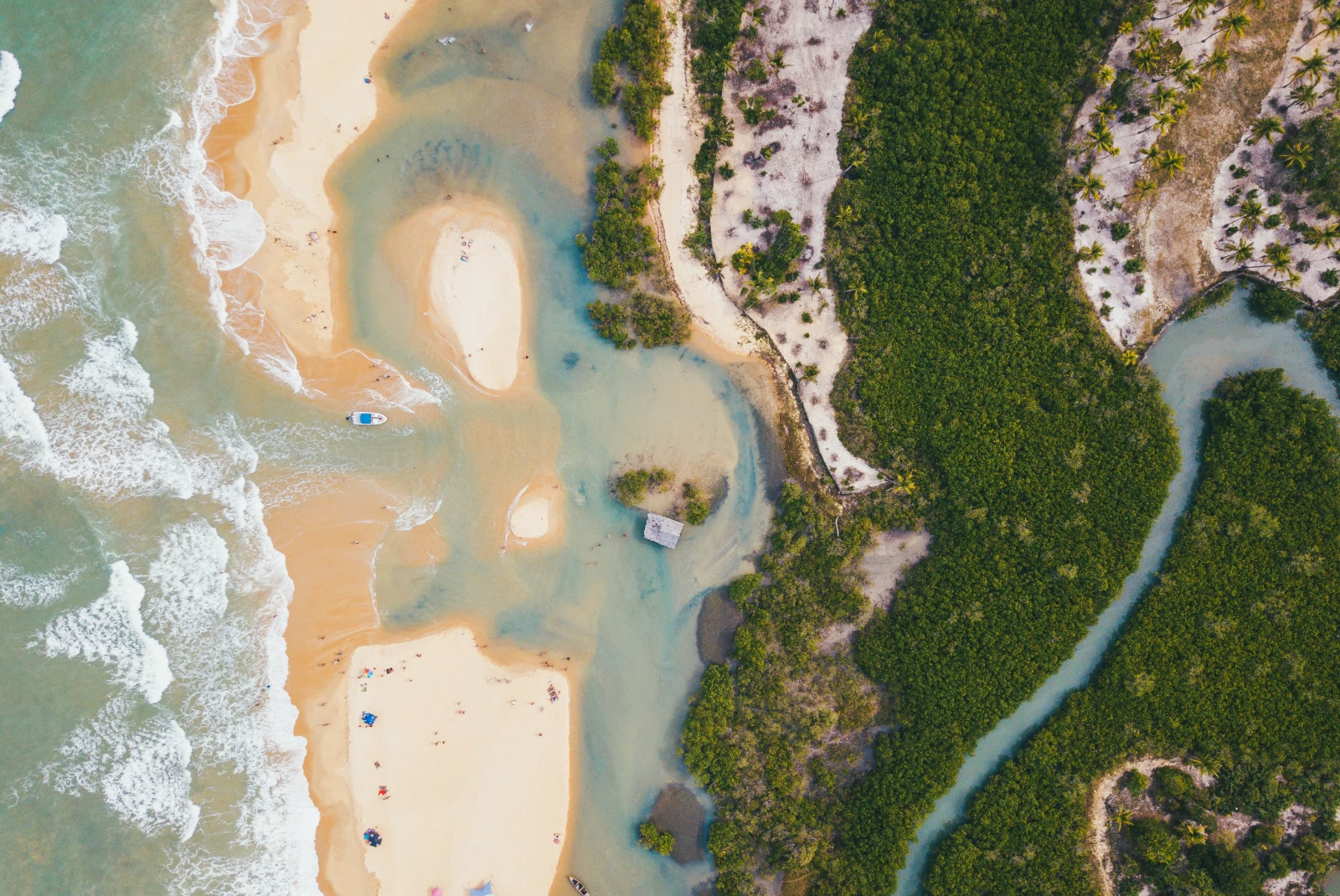 aerial view of sandy beach and shallow waters onto lush green land