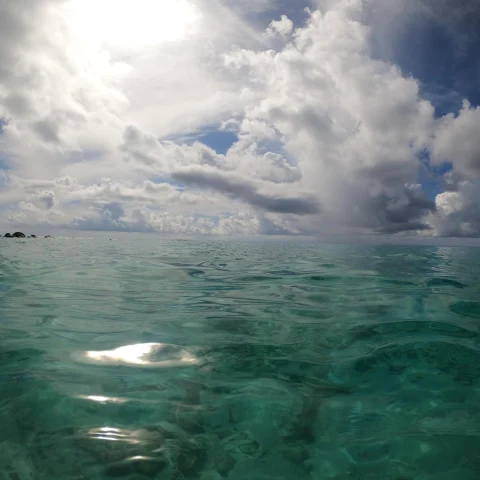 Clear ocean water under a partially cloudy day. 