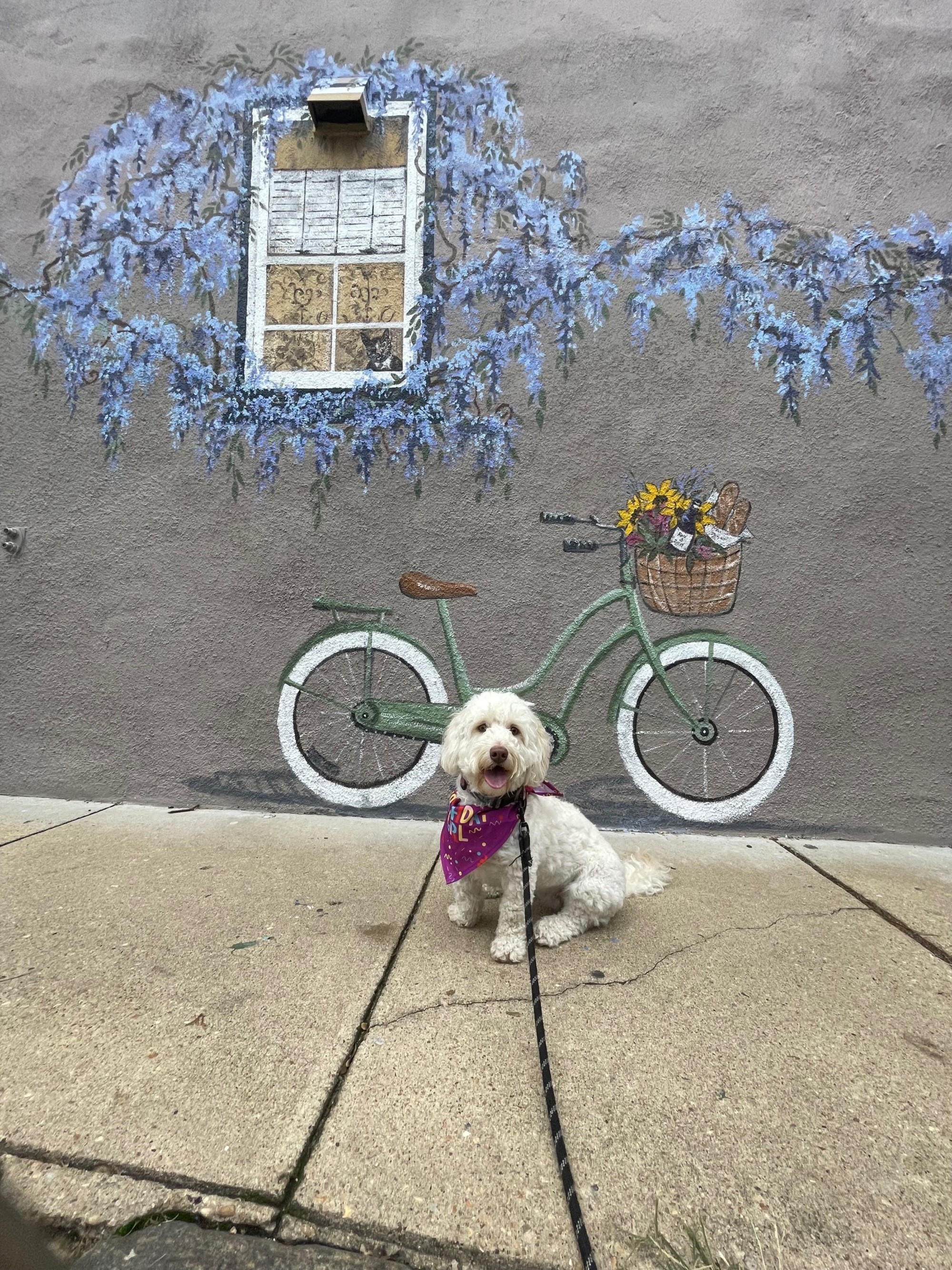DogFriendly Getaway to Annapolis, Maryland
