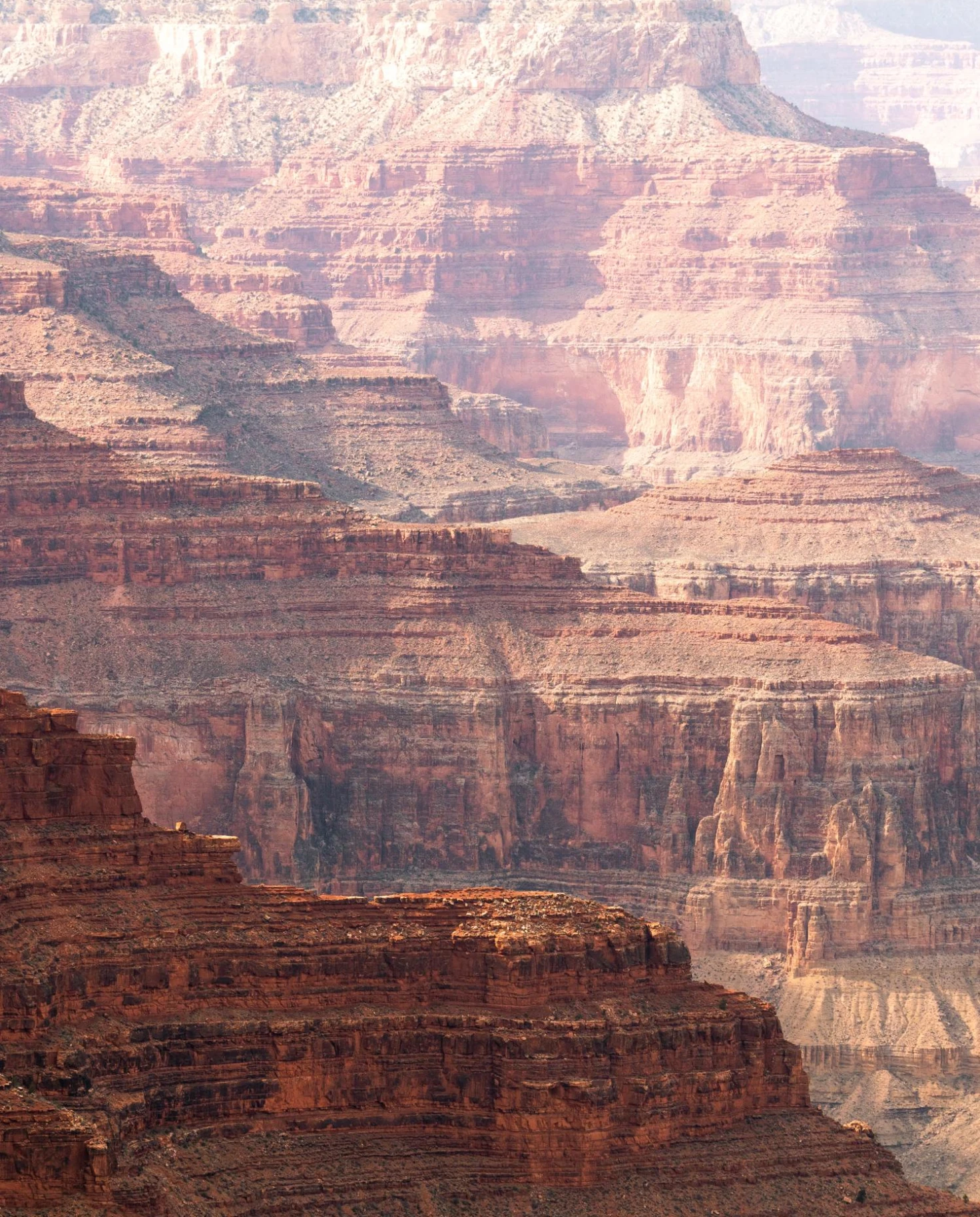 Endless layered rock formations in the Grand Canyon on a bright day. 