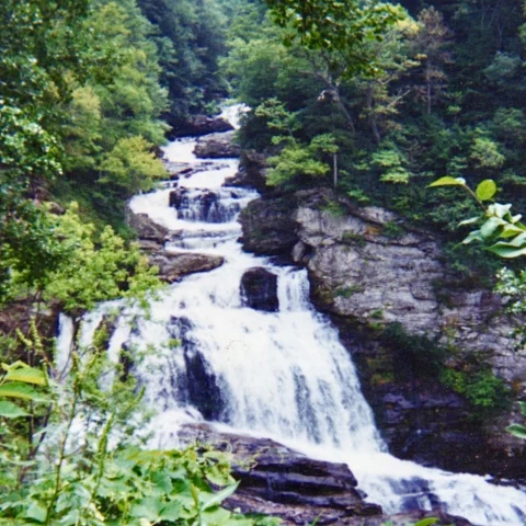 Waterfall surrounded by bright green plants and black rocks with light shining through.