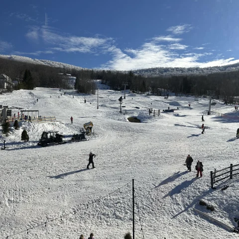A view of snowy terrain with trees and people scattered around. 