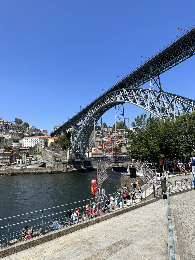 Porto Viking cruise