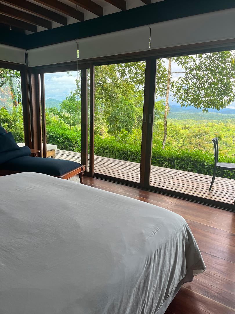 Beautiful view of the jungle/ocean  from the bedroom