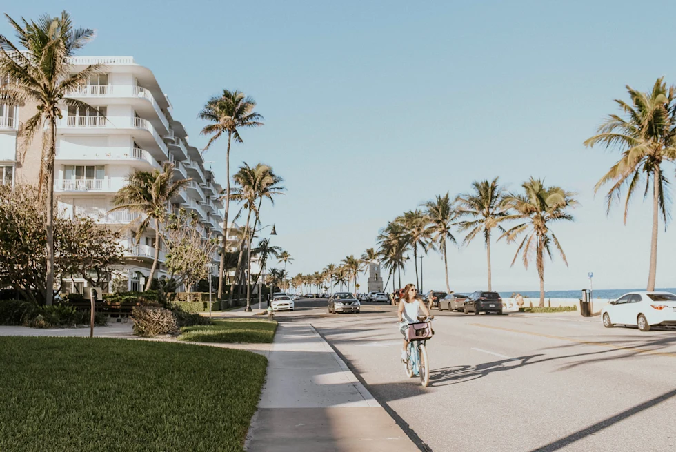 street along the ocean with palm trees