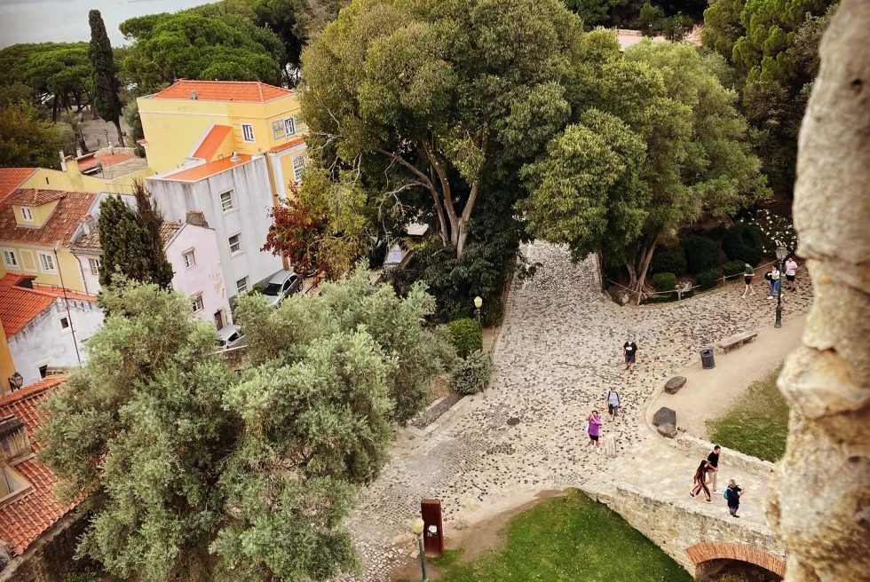 view from castle onto colorful rooftops and ocean below on a overcast day