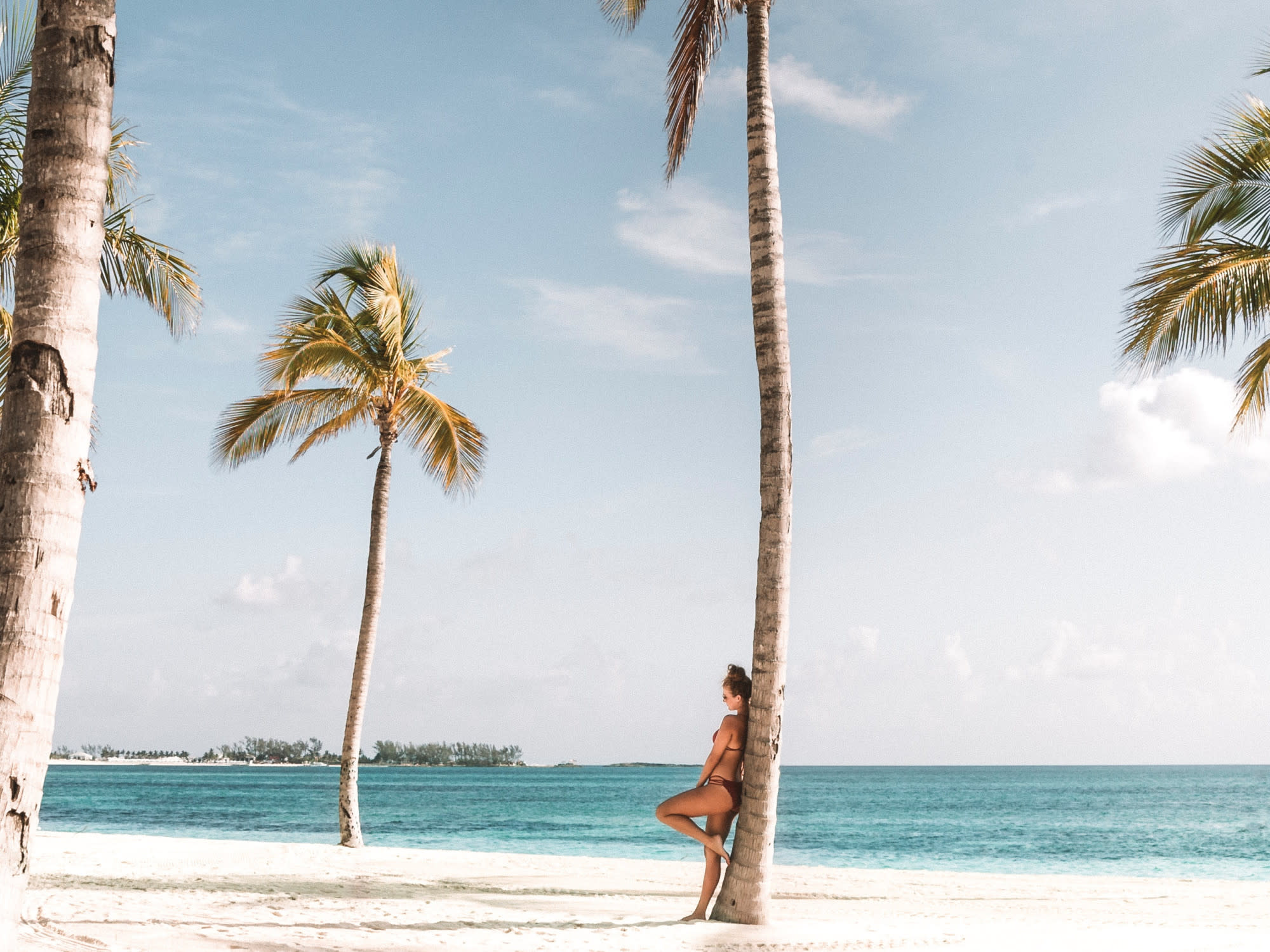 beach-and-palm-tree