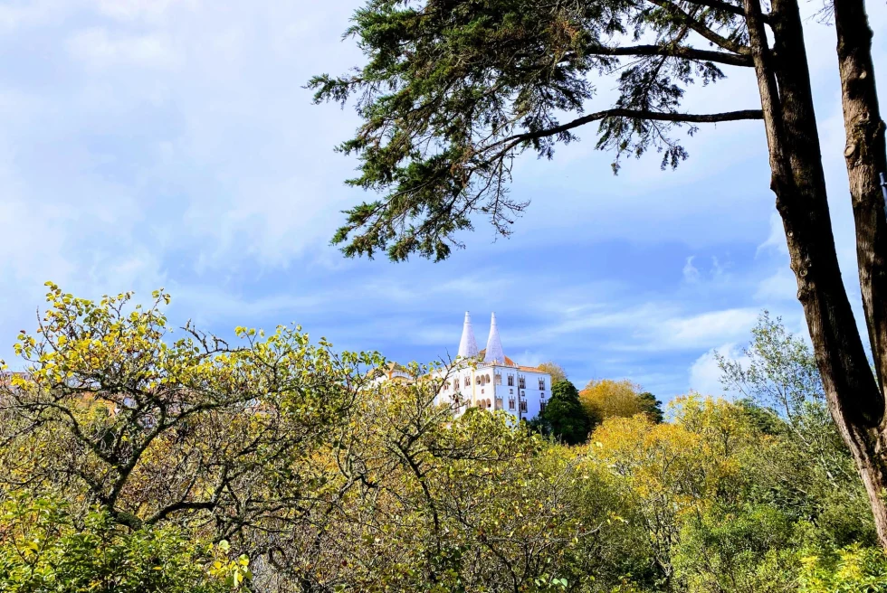 a white castle-like building with a double cone top peaks over trees 