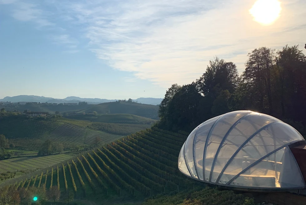 Green organic piedmont