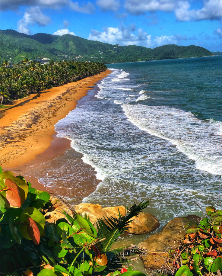 View of the sand meeting the ocean with blue skies in Puerto Rico