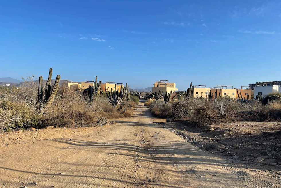 A street in Todos Santos