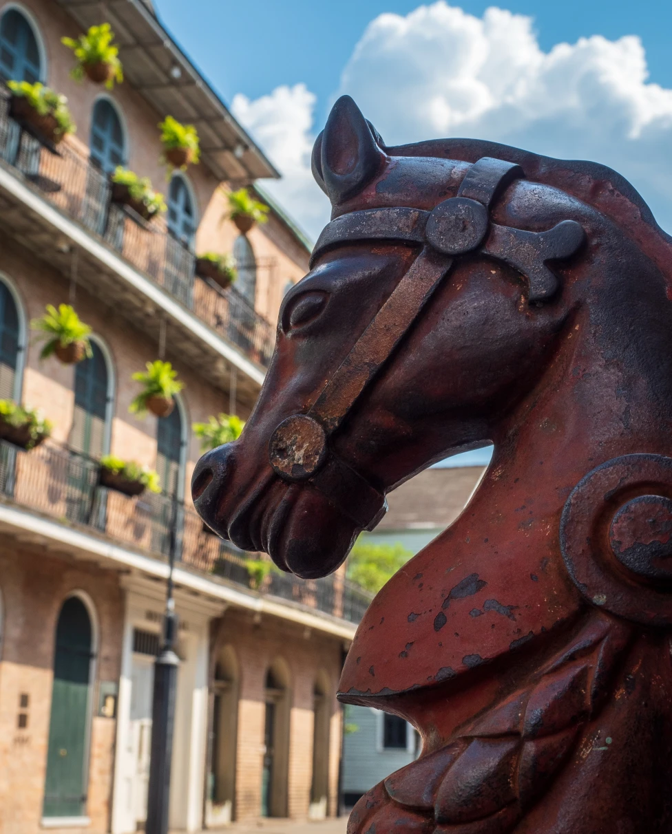 A horse statue in New Orleans.