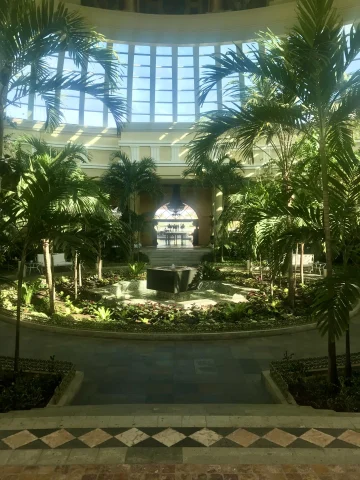 An indoor plant atrium