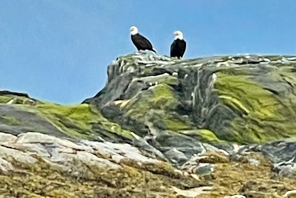 Luxury Cruising Alaska's Inside Passage - Day 1: Alaska Cruise Experience