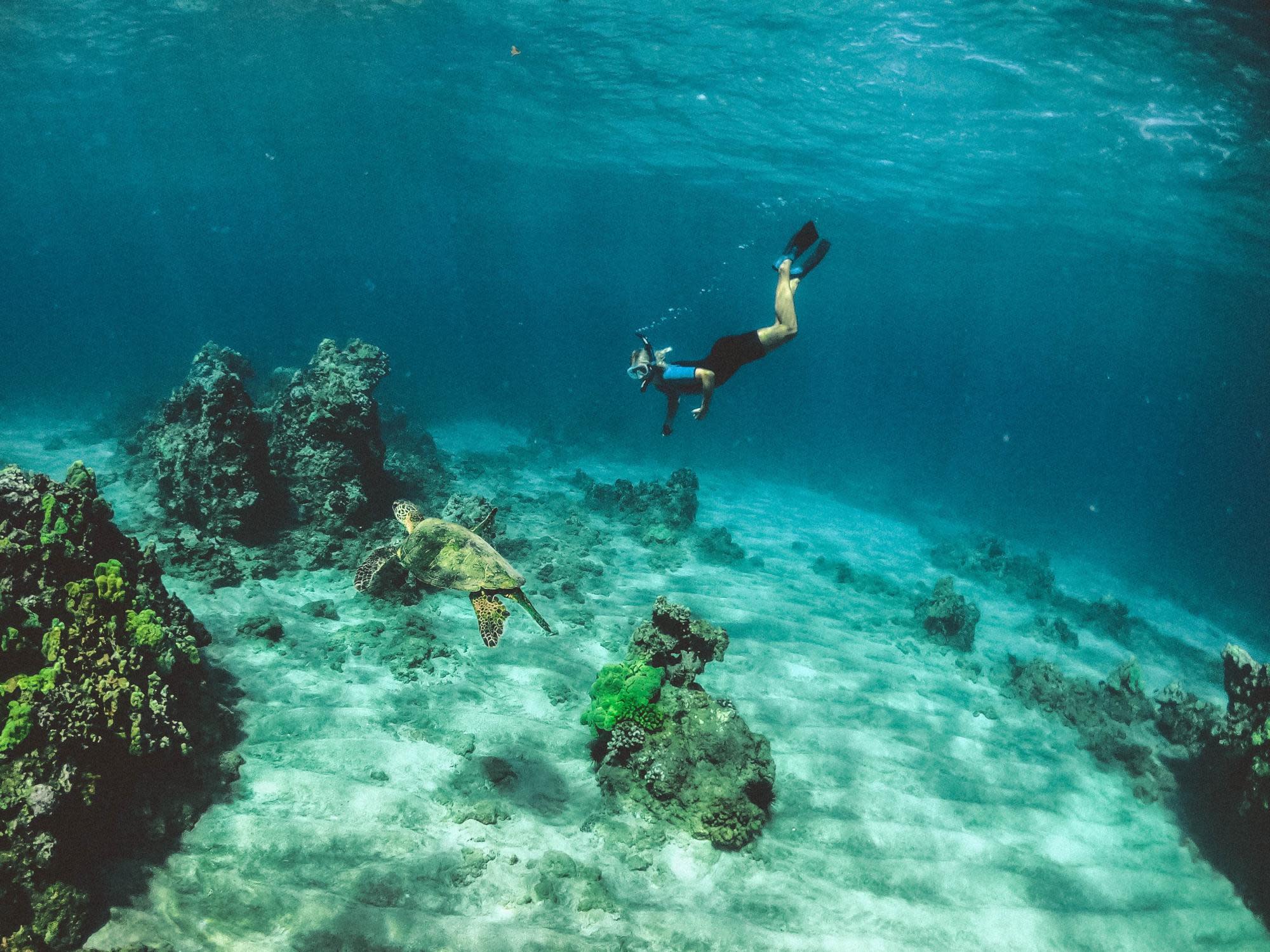 the-8-best-things-to-do-in-puerto-rico-with-kids-snorkeling
