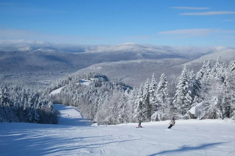 A view of people skiing down a snowy mountain surrounded by snowy pine trees under the blue sky. 