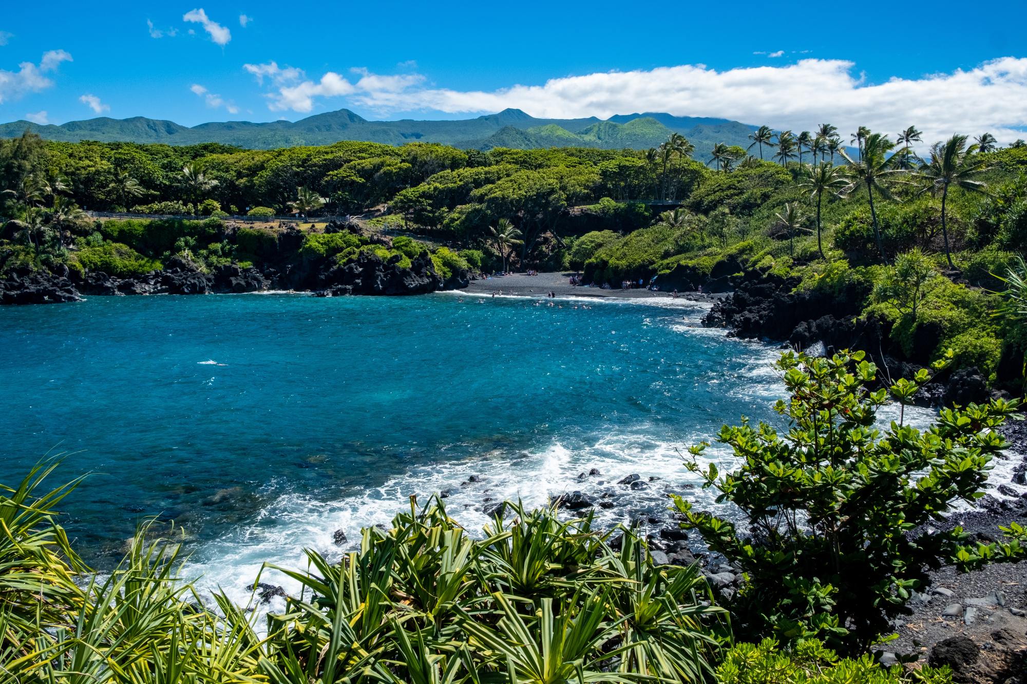 Scuba Divers Guide to Maui: 5 Must Visit Dive Sites