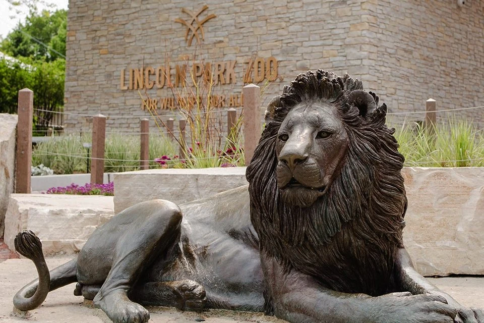 Lincoln Park Zoo with a lion statue in Chicago. 