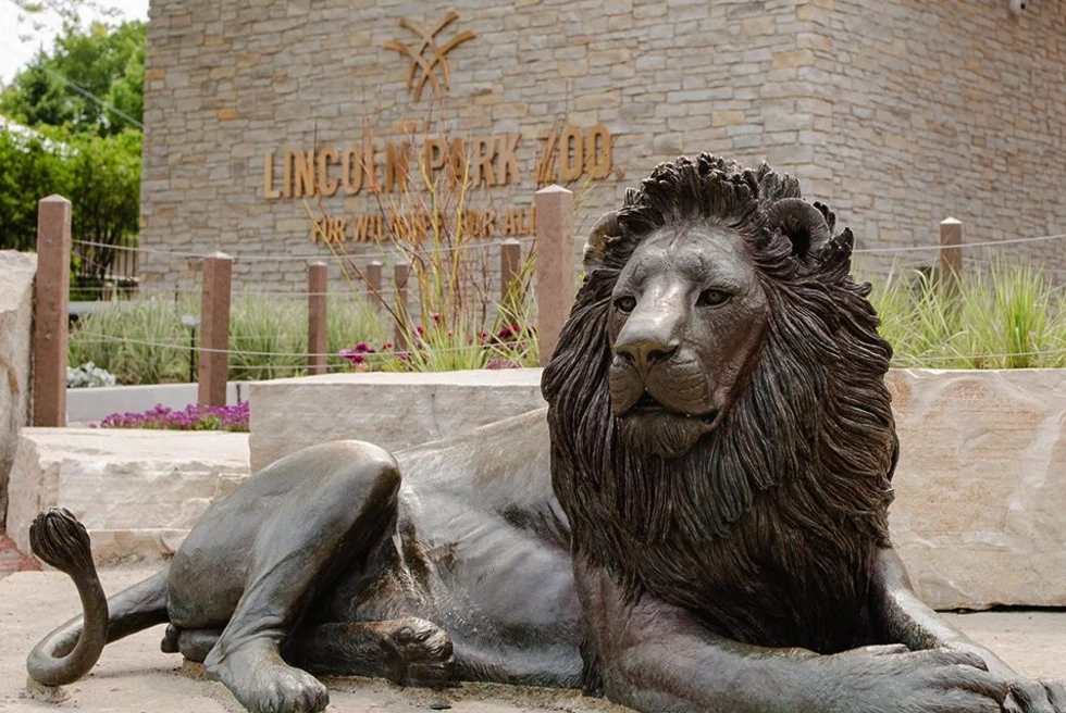 Lincoln Park Zoo with a lion statue in Chicago. 