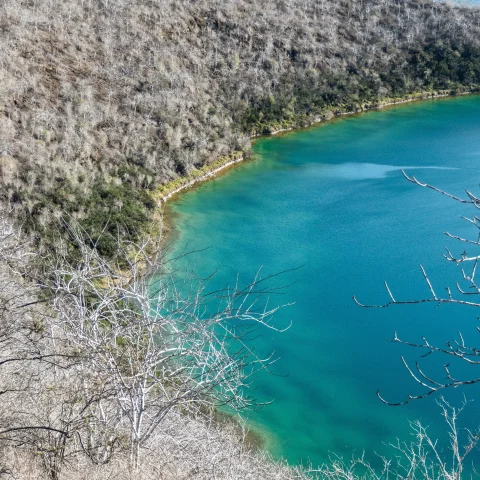 View of blue waters meeting the land in the Galapagos Islands