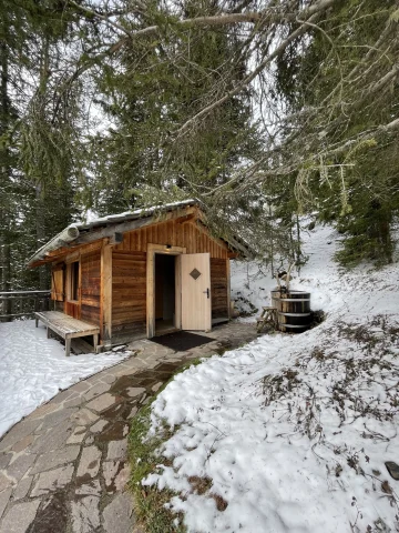 Forestis Sauna. Cold Pluge - Daryn Schwartz 