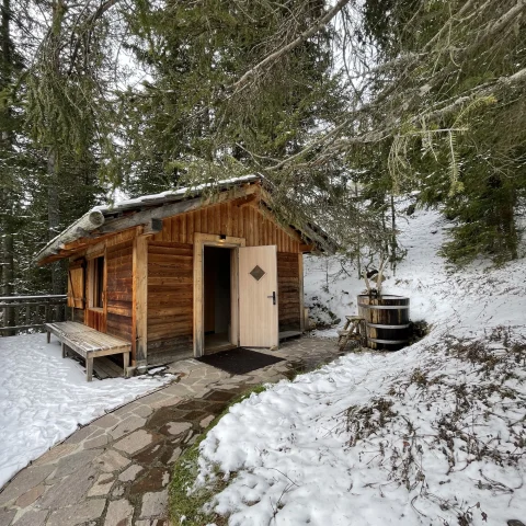 Forestis Sauna. Cold Pluge - Daryn Schwartz 
