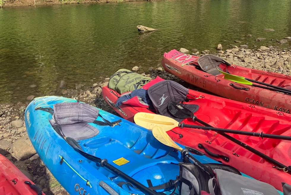 Kayaks in a river.
