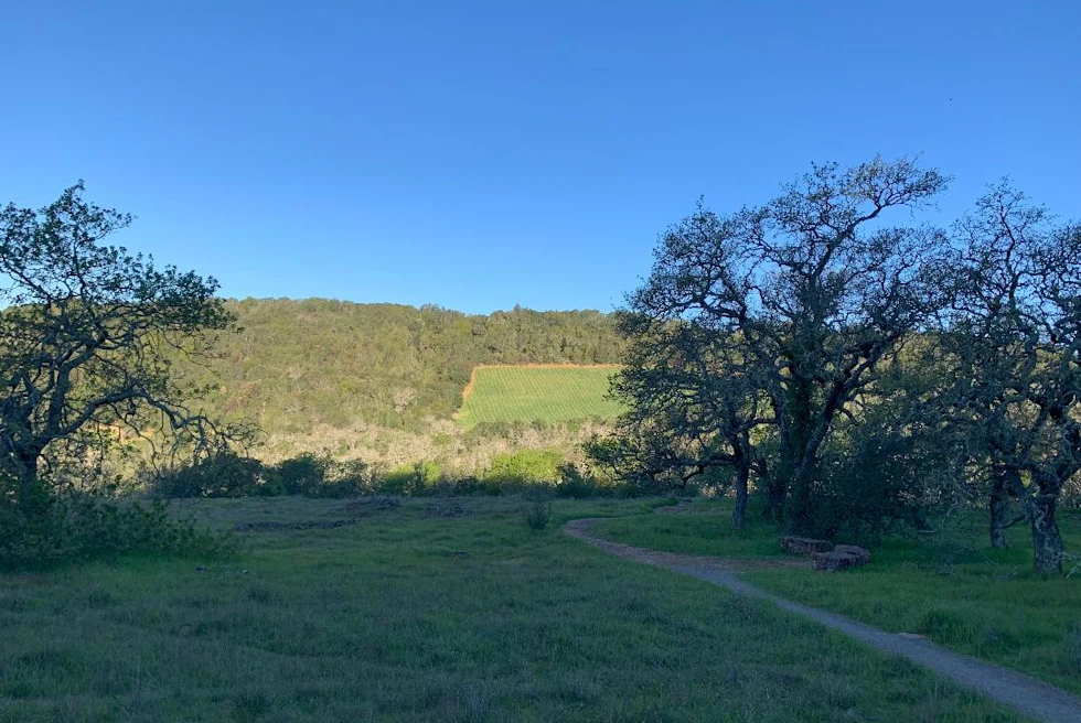 green hiking trail with perfect blue sky