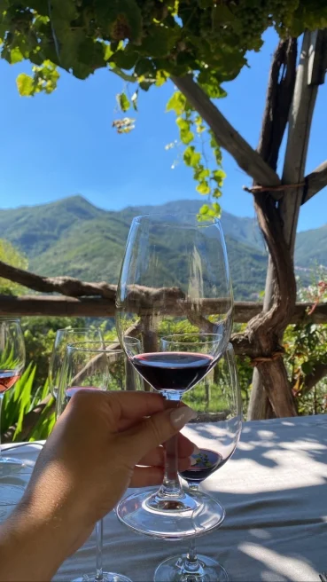 A glass of wine with green scenery