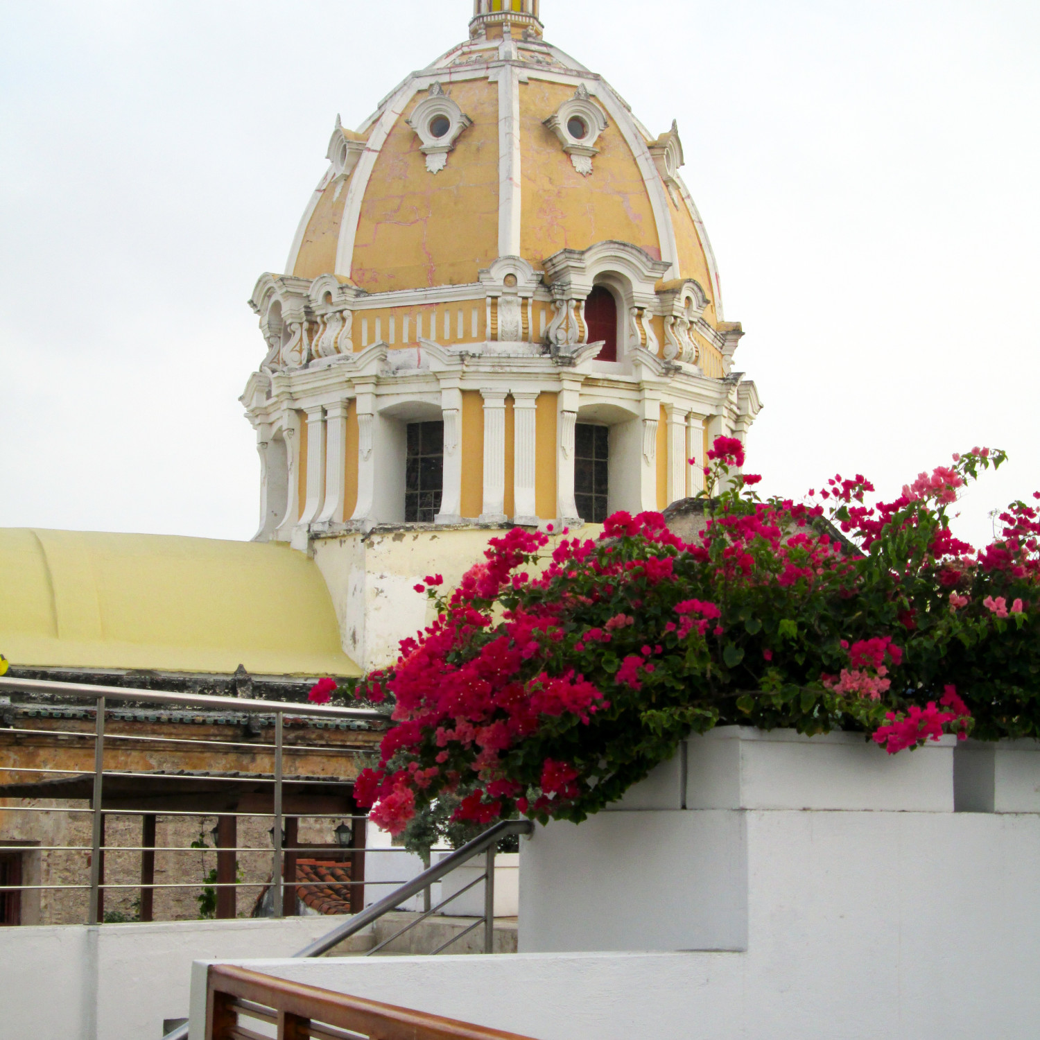 Cartagena skyline and bougainvillea. 