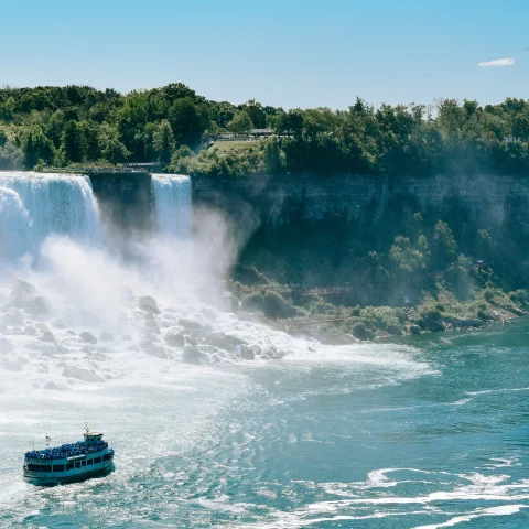 Catching Niagara Falls from Lake Ontario curated by Alli Kozloff