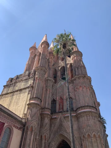 A low-angled shot of a towering old building with a reddish tone and ornate architecture next to a palm tree of the same height, against a clear blue sky.