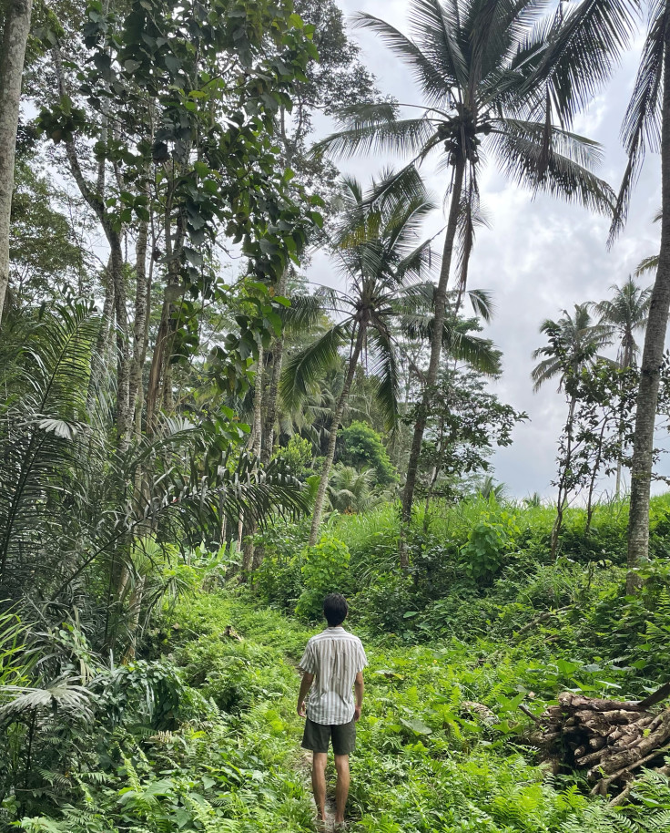 Man walking in green forest next to palm trees during daytime