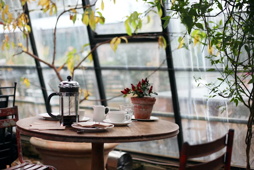 French-press coffee pot and coffee mug on a wooden table in a glass atrium