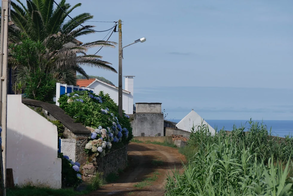 White concrete building near grass and beach.
