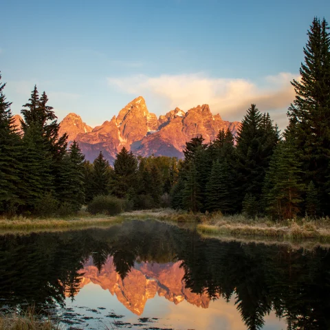 Family Travel to Jackson Hole and Yellowstone curated by Fora