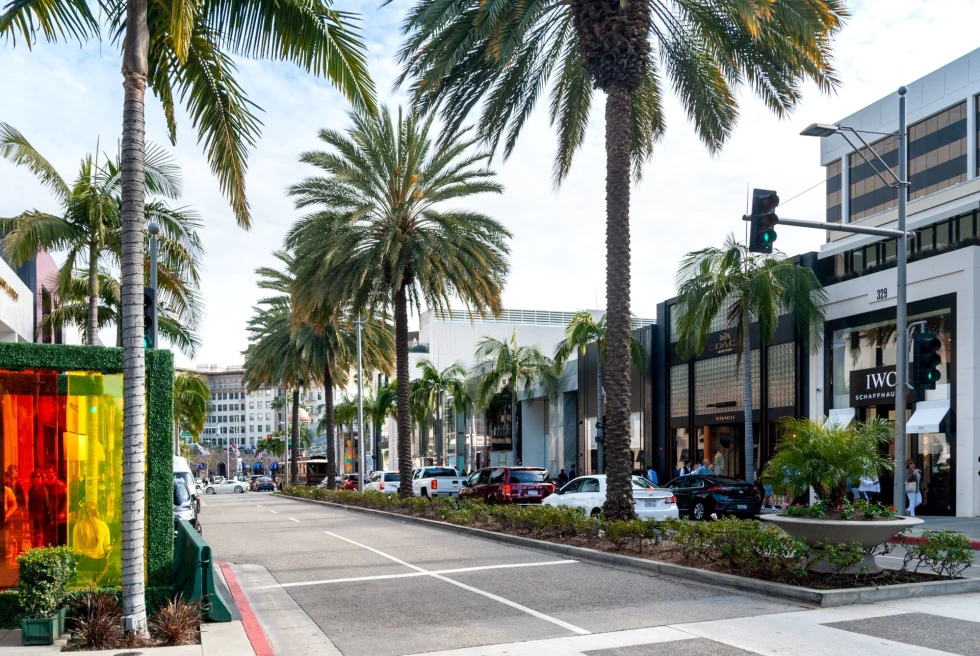 Beverly Hills Los Angeles street with palm trees