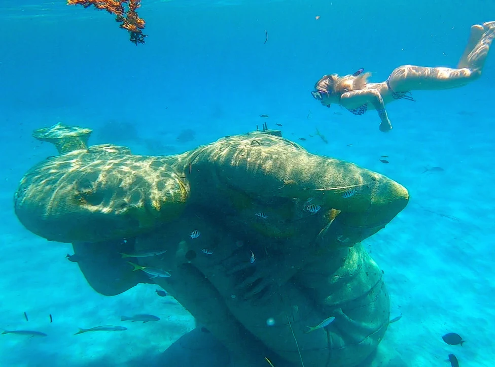 A picture of a statue under the water