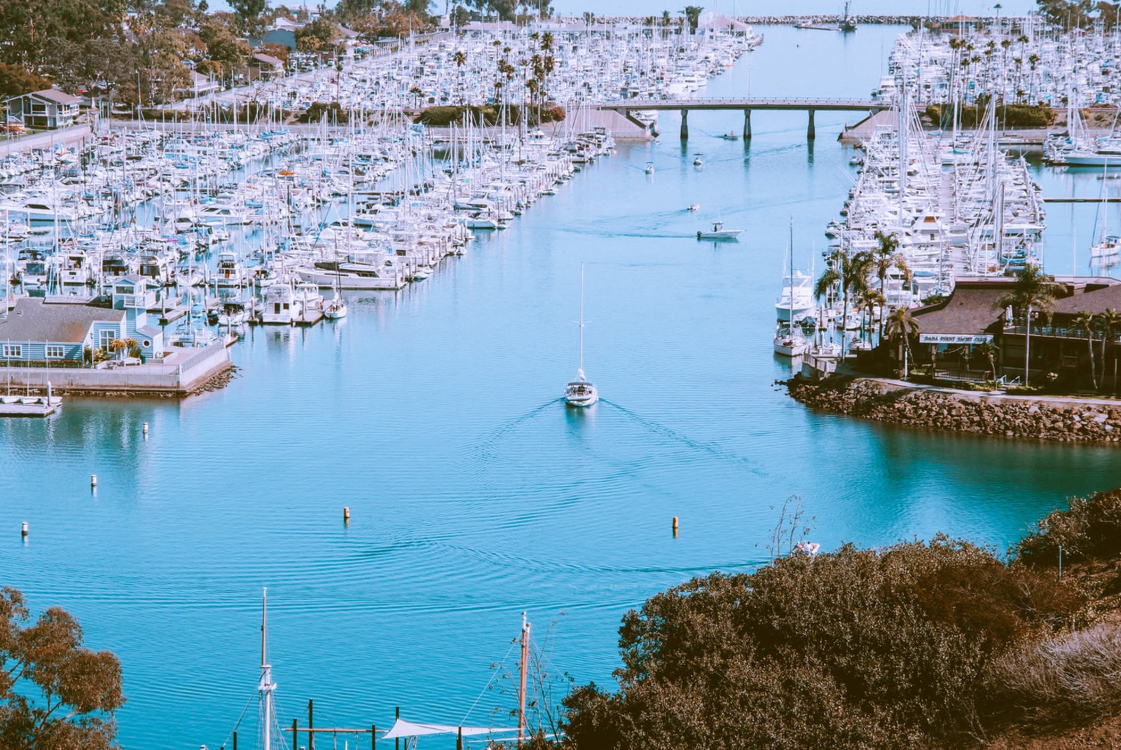 Dana Point Marina in California with sailboats lined on blue waters