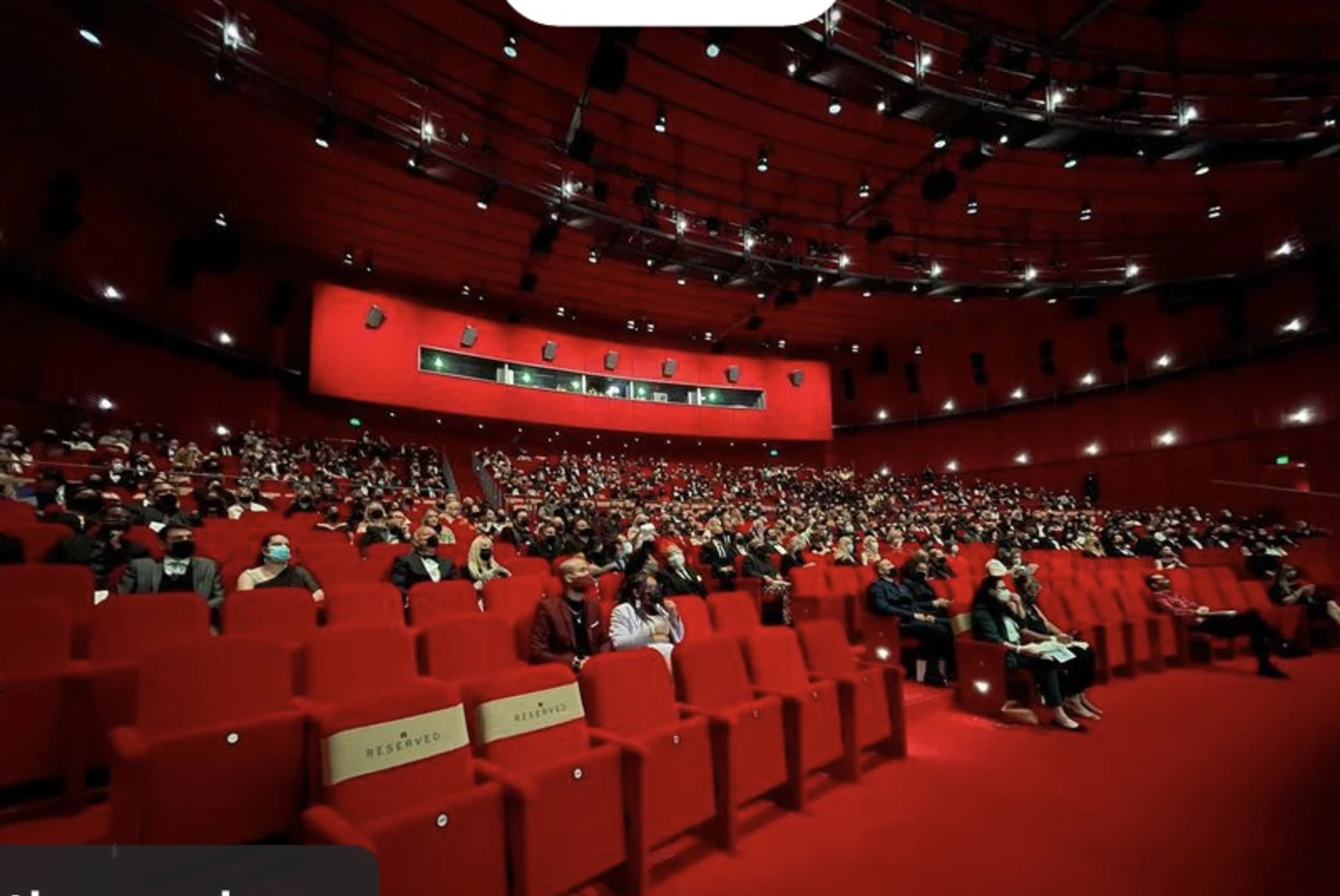 room filled with red seats and red carpet