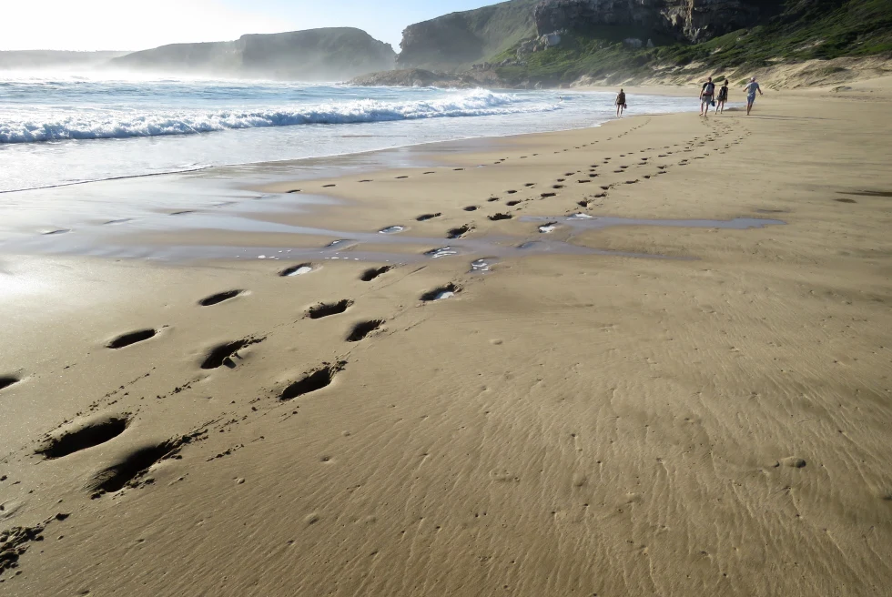 South Africa travel guide: The Garden Route.