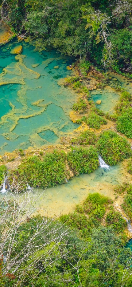 Aeriel view of clear blue water river and yellow and green shrubs and trees