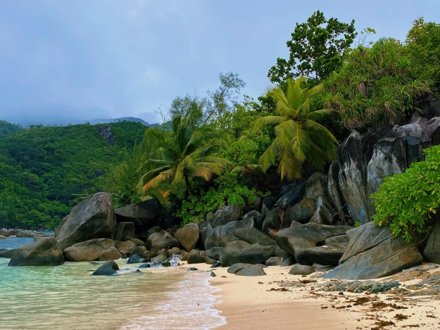 Beach in Seychelles with clear waters, sandy shore and cliffs with palm trees and greenery. 