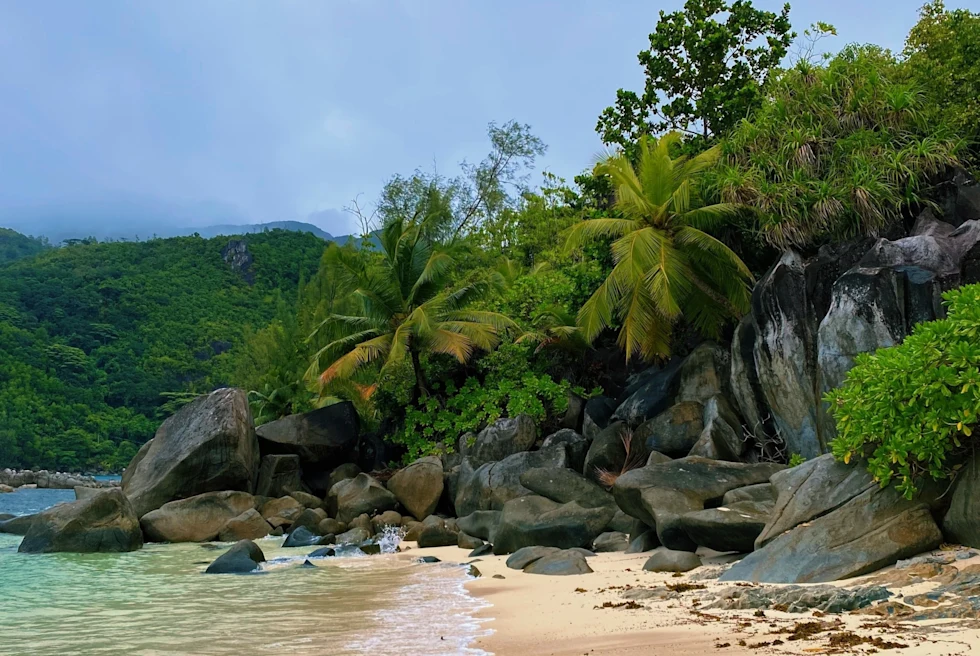Beach in Seychelles with clear waters, sandy shore and cliffs with palm trees and greenery.