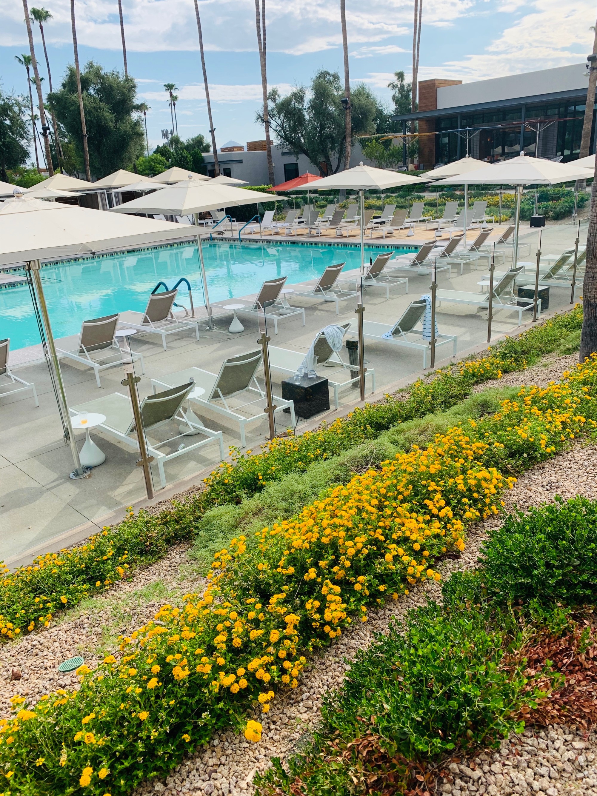 Discover Andaz Scottsdale Resort and Bungalows