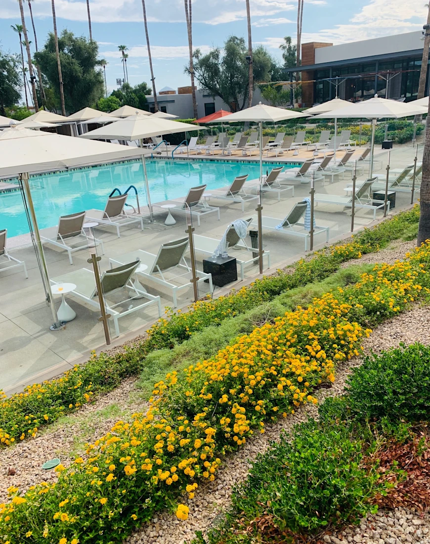 Discover Andaz Scottsdale Resort and Bungalows