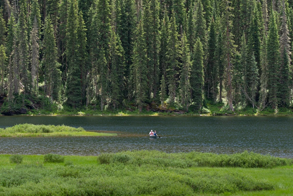 A green lakeside in Vail.